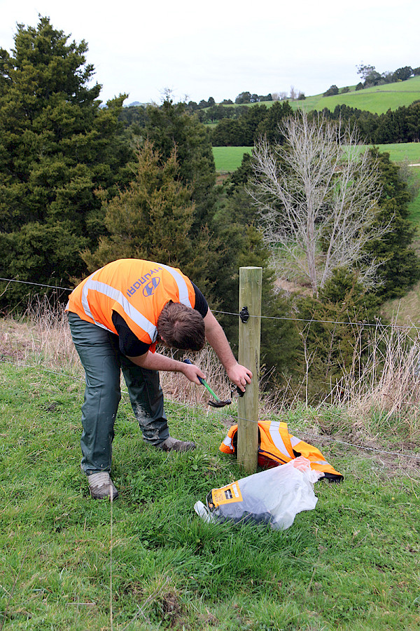 Students helped fence/repair more than 1km of fence line that now excludes livestock from 6ha of native forest in the gully area above the dam and new plantings.