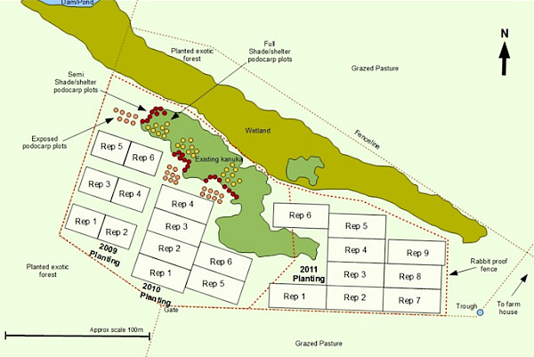 Figure 3: Layout of replicated blocks for the native species planting trials established in 2009, 2010 and 2011 comprising shrub hardwood and monocotyledon species, Waihaha, western Taupo.