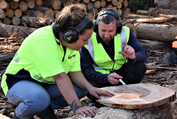 Forest Ecologist, Dejan Firm from Scion discusses tree rings with Furne Patuwai at Northpine in Waipu