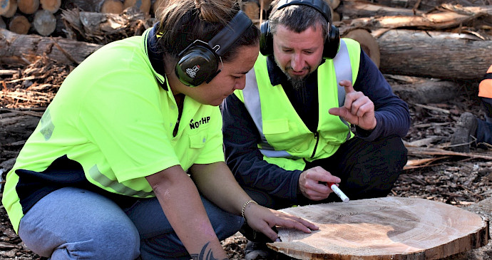 Forest Ecologist, Dejan Firm from Scion discusses tree rings with Furne Patuwai at Northpine in Waipu