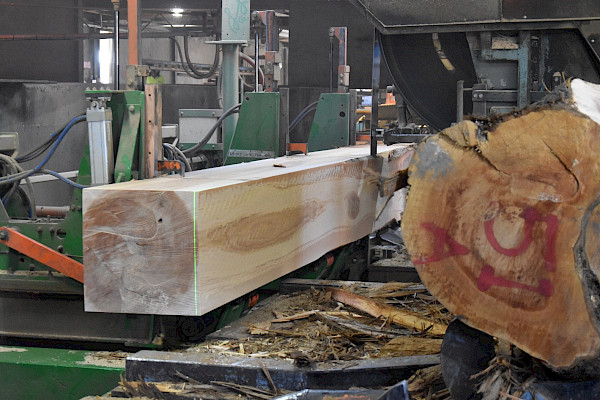 The TIP project involves harvesting logs, milling and processing and sales of the timber to obtain costs along the entire supply chain
