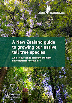 A New Zealand Guide to Growing our Native Tall Tree Species