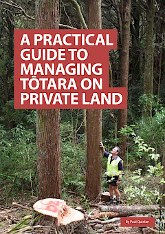 A Practical Guide to Managing Tōtara on Private Land (2022)